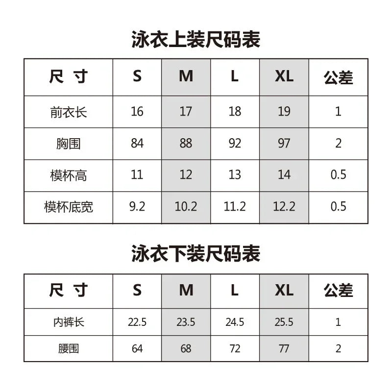 American flag 2 pc bikini